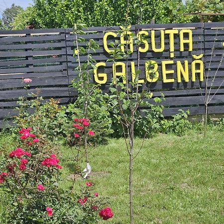 Willa Casuta Galbena Eforie Nord Zewnętrze zdjęcie